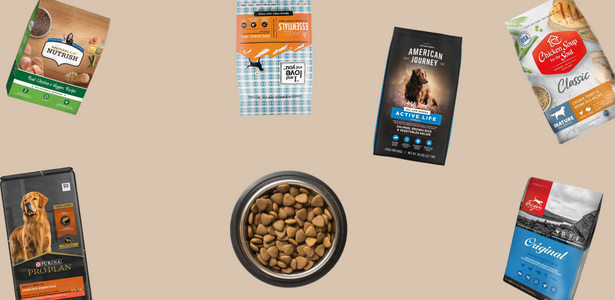 the-best-dry-dog-food-modern-dog-magazine